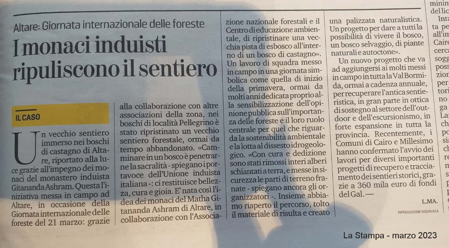articolo-bosco
