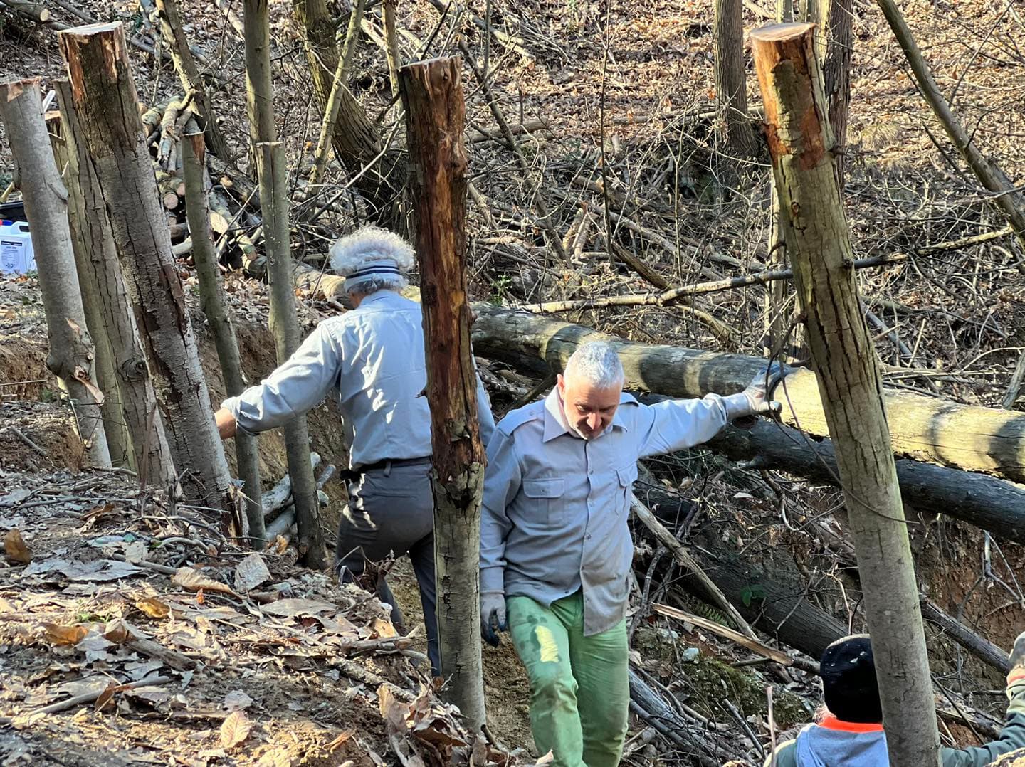 giornata foreste (7)