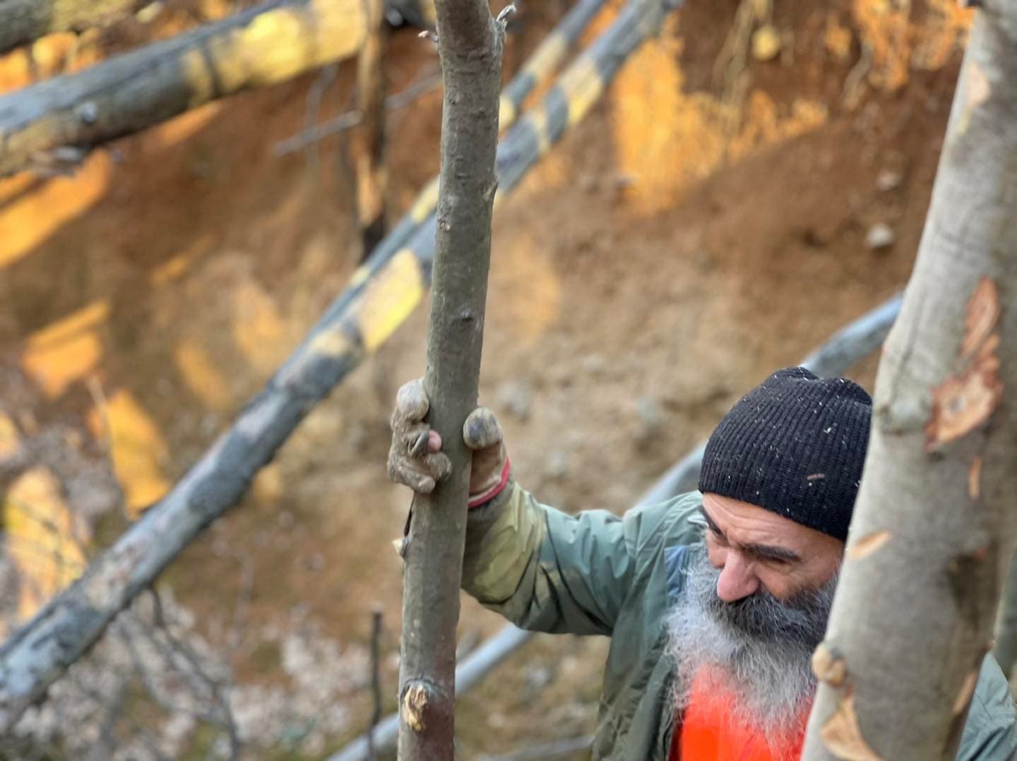 giornata foreste (8)