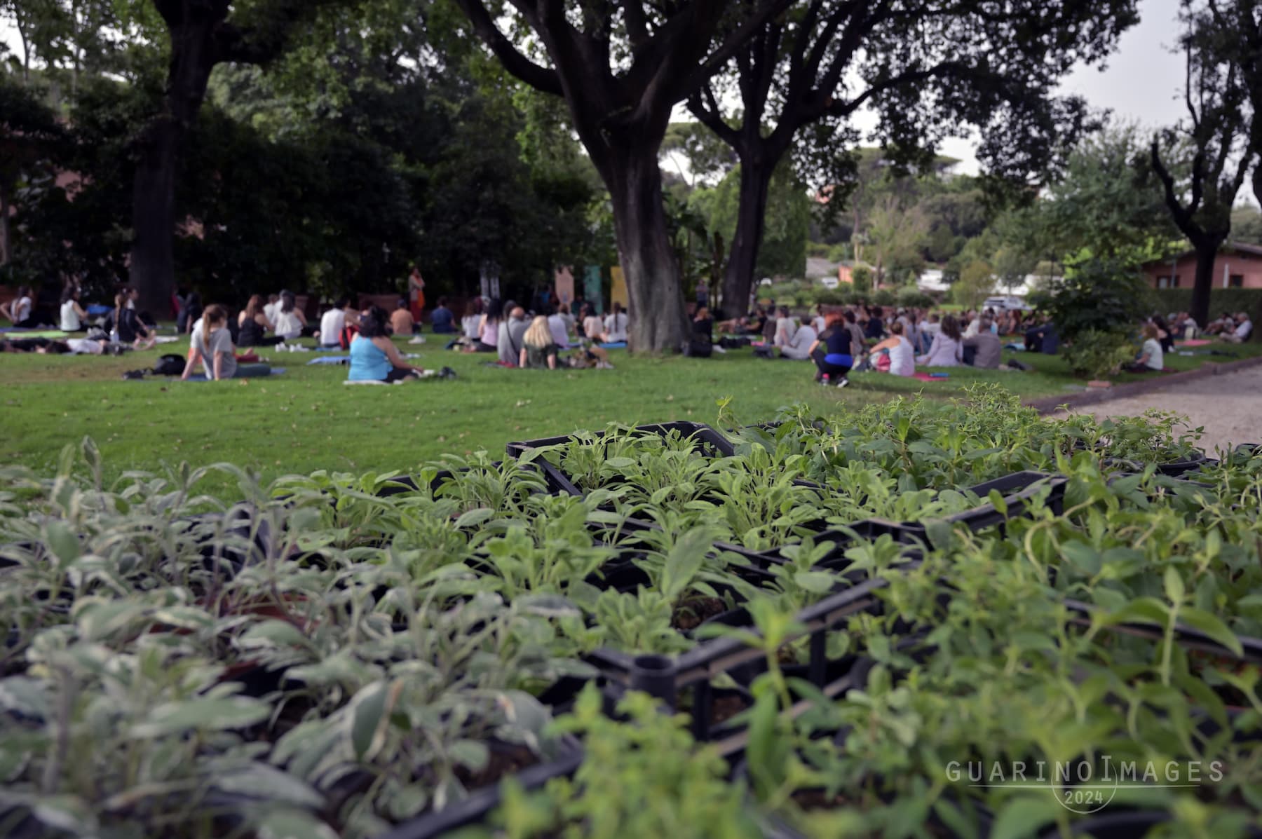 Yogaday 2024 Roma Parco S. Sisto