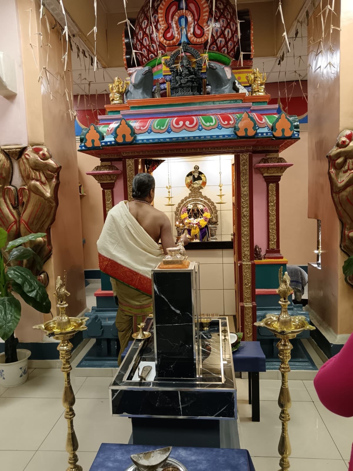 Celebrazioni Pongal