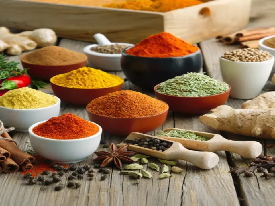 Incontro ayurveda